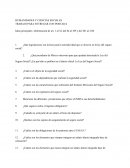 Ideas principales - Seguro Social