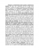 Medida provisional alimentos menores resumen