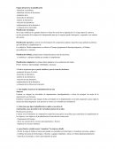 Etapas del proceso de planificación