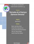 Feria cientifica espinaca