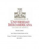 Aque se debe el Ensayo el despido