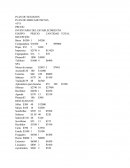 PLAN DE NEGOCIOS DE MERCADOTECNIA