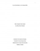 Mercadeo y su avanze desarrollado