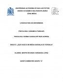 ENSAYO ¿QUE HAGO SI MI MEDIA NARANJA ES TORONJA?