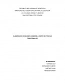 ELABORACION DE QUESOS CASEROS A PARTIR DE TCNICAS TRADICIONALES.