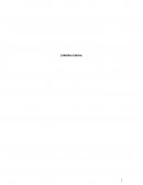 Carrera judicial caso