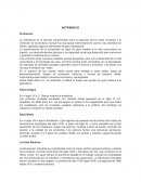 Contextualización de fenómenos políticos y sociales