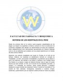 LA GRAN HISTORIA DE LOS HOSPITALES EN EL PERÚ