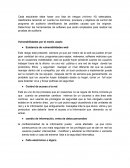 Riesgos y existencia de vulnerabilidades web