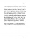 Analicemos la situación de Mateo y Lorena ya que ellos tendrán un bebe