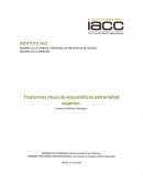 Trastornos musculo-esqueléticos extremidad superior.