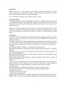 Anatomía: El sentido del olfato