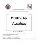 Introducción - Primeros Auxilios