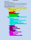 Actividad grupal: Sociología