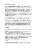 PROMART “HIJA PERFECTA”