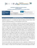 M1-E1 “AUTODIAGNÓSTICO”