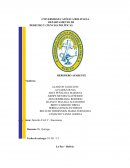 Derecho Civil V - Sucesiones