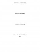 OPINIONES Y JUSTIFICACION