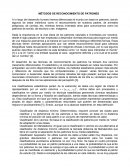 Métodos de reconocimiento de patrones