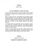 Ensayo de Su vida callejera le costó una pata