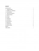 Ejemplo de analisis de puestos