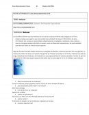 Medusas. Enciclopedia Especializada