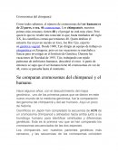 Cuales son los Cromosomas del chimpance