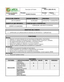 Descripcion de Puestos - Jefe de Repuestos