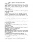 Resumen la bruja bella y el solitario