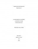 LABORATORIO MICROSCOPIA PRACTICA Nº1