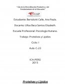 Trabajo: Proteínas y Lipidos