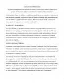 Cultura Incomprendida: