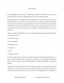 Actividad de lider y seguidor