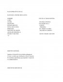 Plan operativo anual de centro operativo