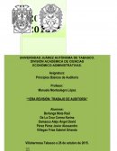 Principios Básicos de Auditoria