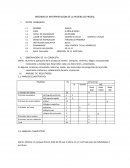 Informe de prueba de proescolar