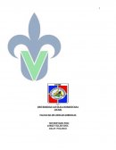 INSCRIPCION, CREACION Y FORMULACION DE UNA S, R, L.