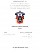 Como es La Democracia en la Homosexualidad