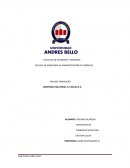 Proyecto: Completo análisis financiero de la empresa COMPAÑÍA INDUTRIALEL VOLCÁN S.A,