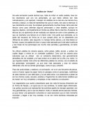 Análisis de “Anina”