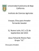 Un nuevo Ensayo etica para amador.