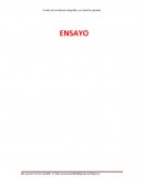 Ensayo de historia universal