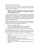 Evidencia: Funciones, metas y acciones