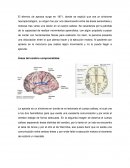 El término de apraxia surge en 1871