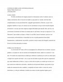 CONTRATO MERCANTIL INTERNACIONALES