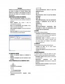 IDENTIFICAR LAS ZONAS DE WORDPAD