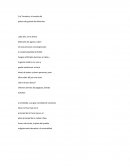 La Tomatina la pelea más grande de alimentos