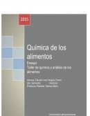 La materia de Química de los Alimentos