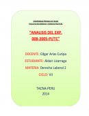 ANALISIS DEL EXP. 008-2005-PI/TC