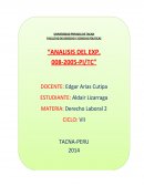 ANALISIS DEL EXP. 008-2005-PI/TC